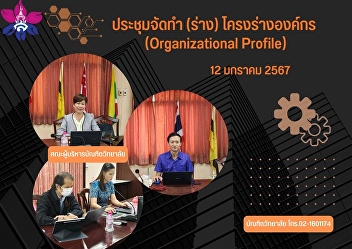 Meeting to prepare (draft) organization
outline (Organizational Profile)
