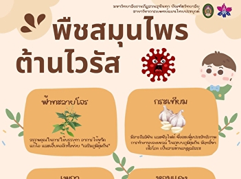 Get to know “antiviral herbs”